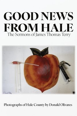 James Terry - Good News from Hale, Häftad