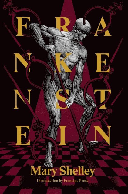 Mary Shelley - Frankenstein, E-bok