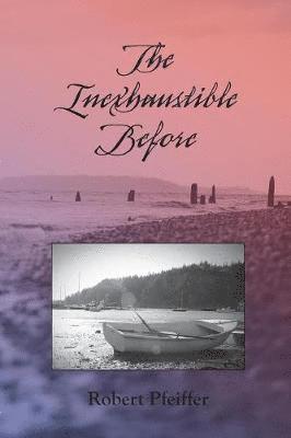 Robert Pfeiffer - Inexhaustible Before, Häftad. Tillgänglighet: Lägg i varukorg
