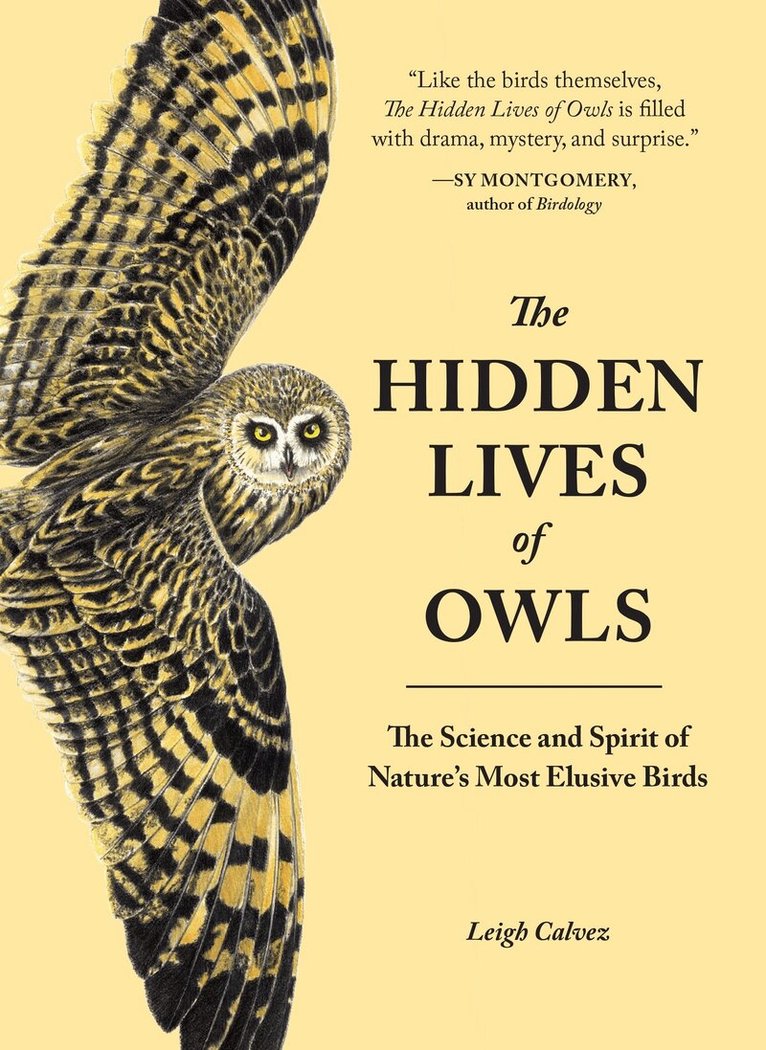Leigh Calvez - Hidden Lives of Owls, Häftad. Tillgänglighet: Lägg i varukorg