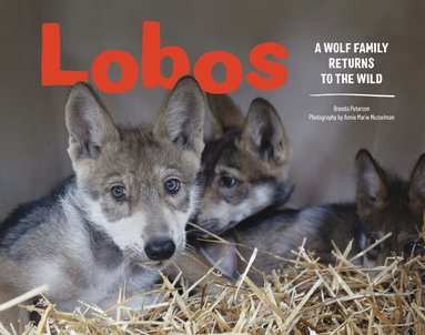 Brenda Peterson - Lobos, Inbunden
