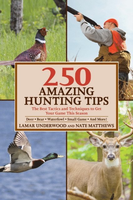 Nate Matthews, Lamar Underwood - 250 Amazing Hunting Tips, E-bok
