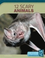Allan Morey - 12 Scary Animals, Inbunden