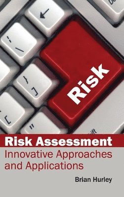 Brian Hurley - Risk Assessment: Innovative Approaches and Applications, Inbunden