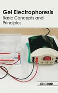 Gel Electrophoresis: Basic Concepts and Principles