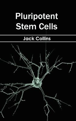 Jack Collins - Pluripotent Stem Cells, Inbunden