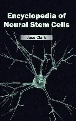 Jose Clark - Encyclopedia of Neural Stem Cells, Inbunden. Tillgänglighet: Lägg i varukorg