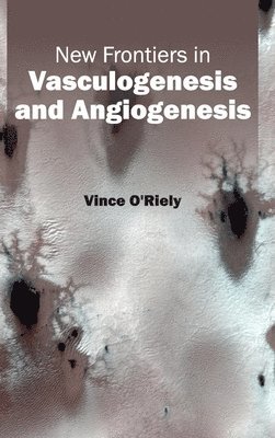 Vince O'Riely - New Frontiers in Vasculogenesis and Angiogenesis, Inbunden
