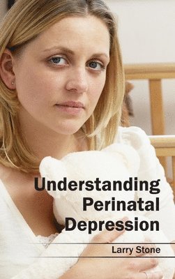Larry Stone - Understanding Perinatal Depression, Inbunden