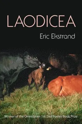 Eric Ekstrand - Laodicea, Häftad. Tillgänglighet: Lägg i varukorg