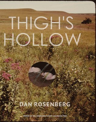 Dan Rosenberg - Thigh's Hollow, Häftad. Tillgänglighet: Lägg i varukorg