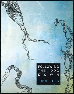John Liles - Following The Dog Down, Häftad. Tillgänglighet: Tillfälligt slut
