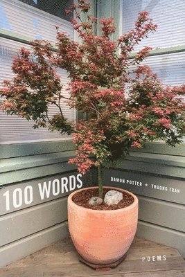 Damon Potter, Truong Tran - 100 Words – Poems, Häftad