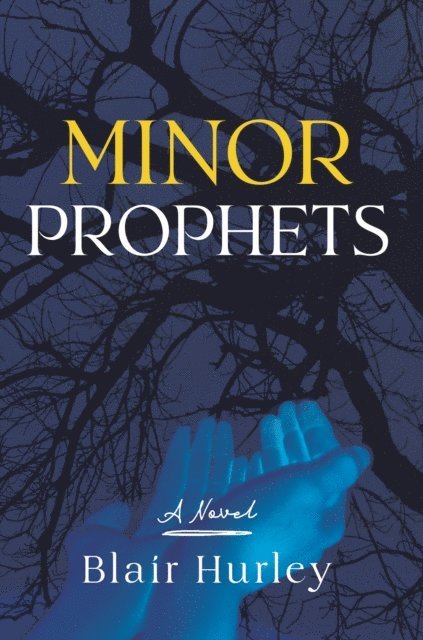 Blair Hurley - Minor Prophets, E-bok