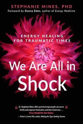 Stephanie Mines - We are All in Shock, Häftad