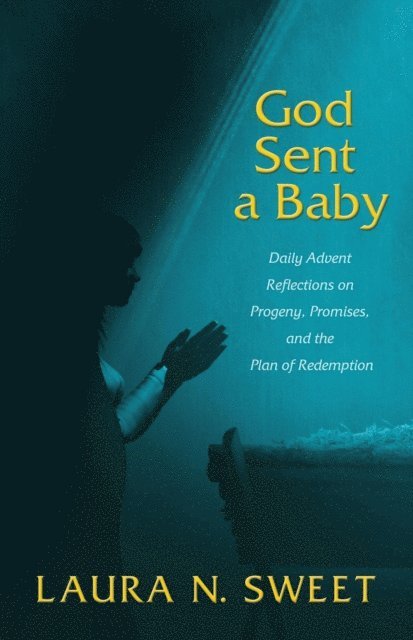 Laura N. Sweet - GOD SENT A BABY, Häftad