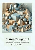 David E McAdams - Trimates figūros, Häftad