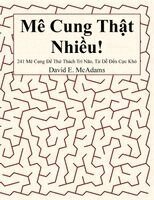David E McAdams - Mê Cung Thật Nhiều!, Häftad