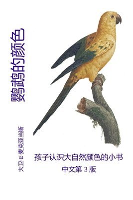 鹦鹉的颜色