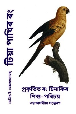 টিয়া পাখিৰ ৰং