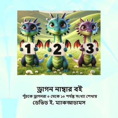 ড্রাগন নাম্বার বই