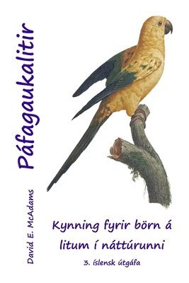 Páfagaukalitir