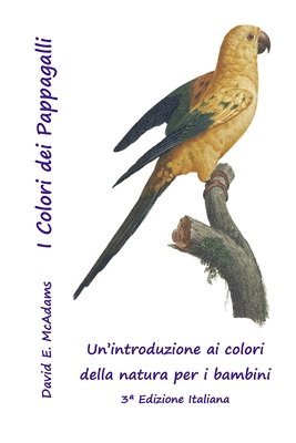 I Colori dei Pappagalli