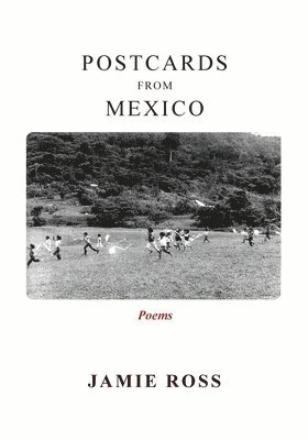 Jamie Ross - Postcards from Mexico, Häftad