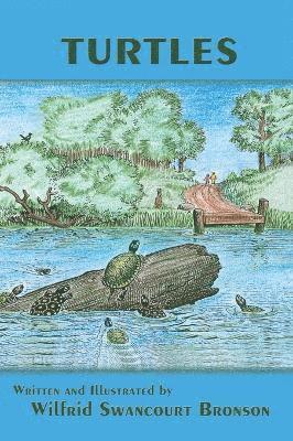 Wilfrid Swancourt Bronson - Turtles, Inbunden. Tillgänglighet: Lägg i varukorg