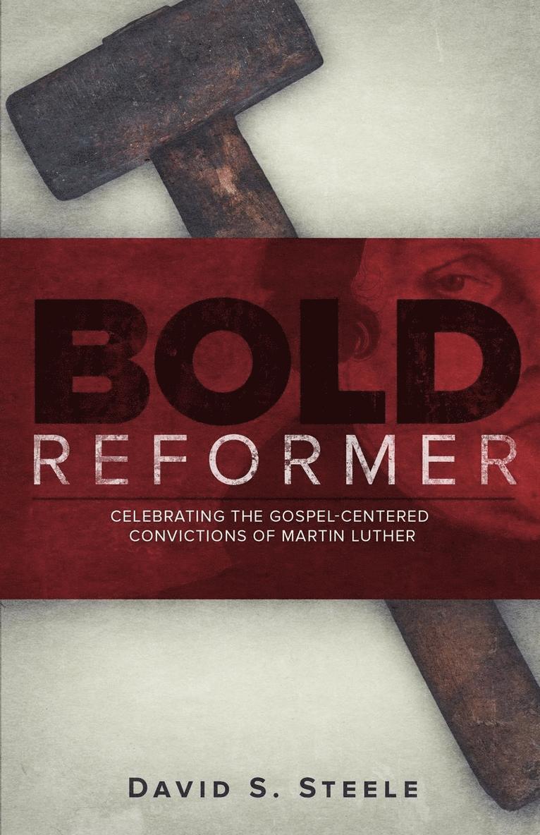 David S Steele - Bold Reformer, Häftad