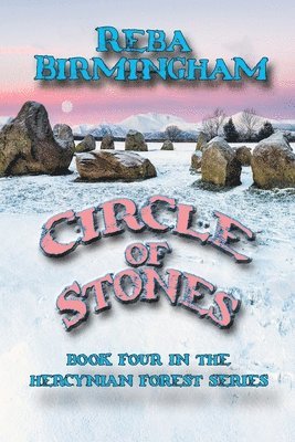 Reba Birmingham - Circle of Stones, Häftad