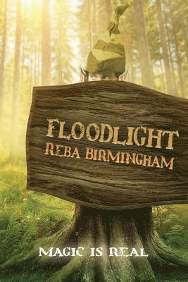 Reba Birmingham - Floodlight, Häftad