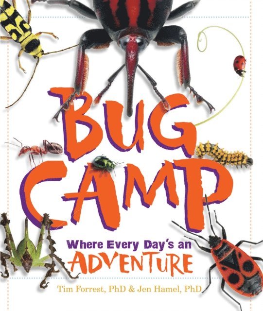 Bug Camp