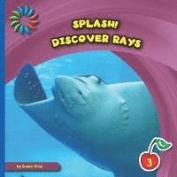 Susan H. Gray - Discover Rays, Häftad