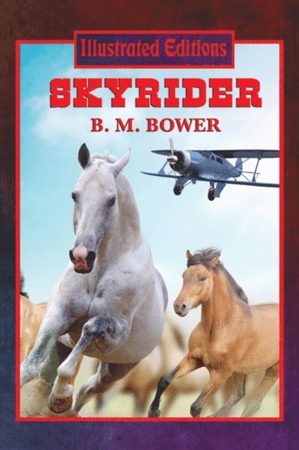 B. M. Bower - Skyrider (Illustrated Edition), E-bok