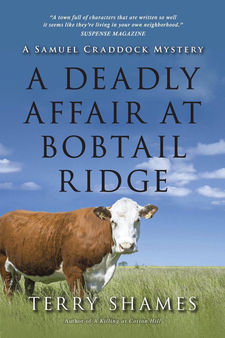 Terry Shames - Deadly Affair at Bobtail Ridge, Häftad