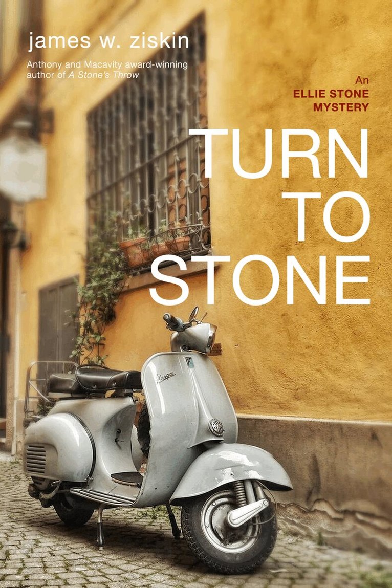 James W. Ziskin - Turn to Stone, Häftad