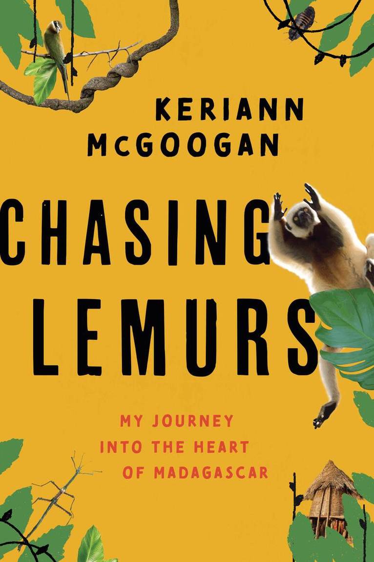 Keriann McGoogan - Chasing Lemurs, Inbunden