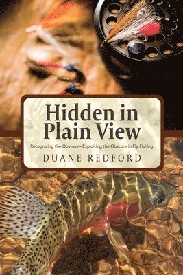 Duane Redford - Hidden in Plain View, Häftad. Tillgänglighet: Lägg i varukorg