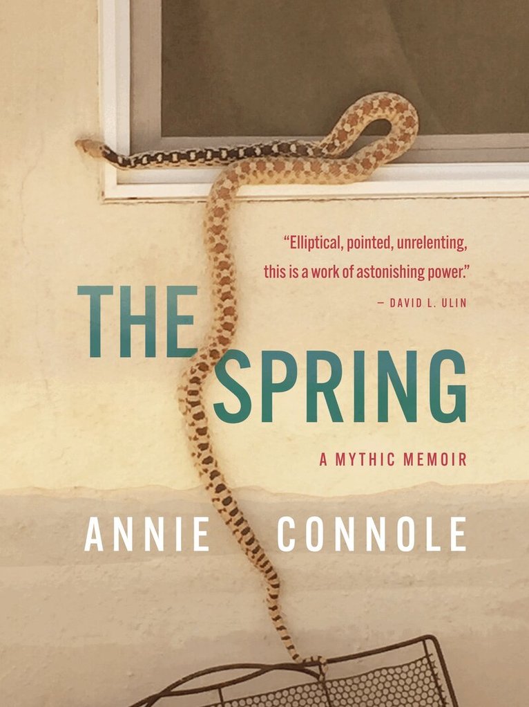 Annie Connole - Spring, Inbunden