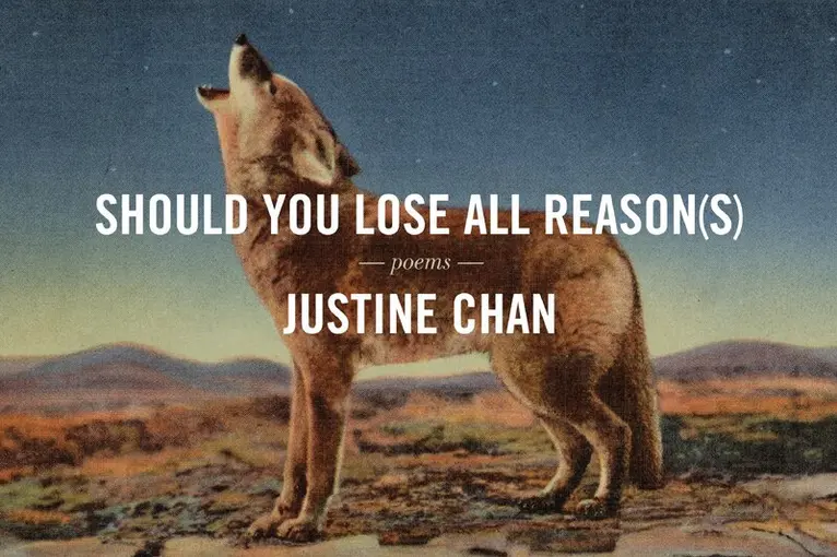 Justine Chan - Should You Lose All Reason(s), Häftad. Tillgänglighet: Lägg i varukorg