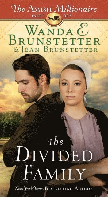 Jean Brunstetter, Wanda E. Brunstetter - Divided Family, E-bok