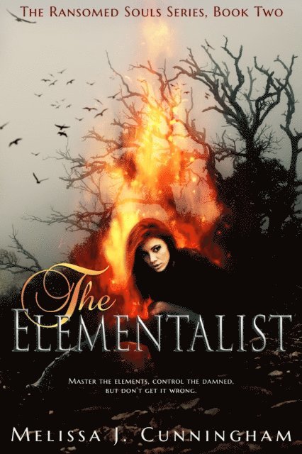 Melissa J. Cunningham - Elementalist, E-bok
