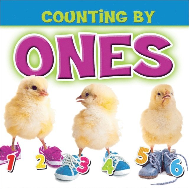 Kay Robertson - Counting by Ones, E-bok