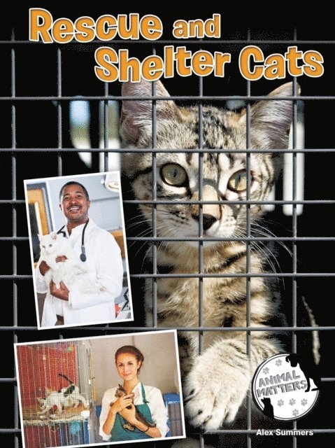 Alex Summers - Rescue and Shelter Cats, E-bok