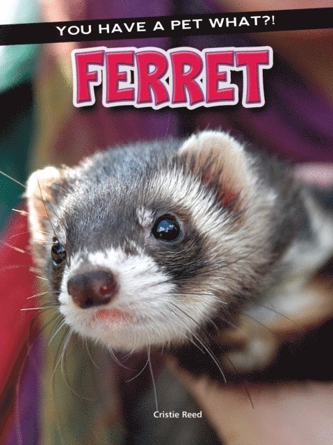 Cristie Reed - Ferret, E-bok. Tillgänglighet: Lägg i varukorg