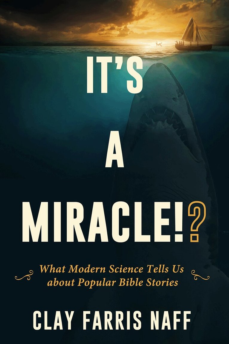 Clay Farris Naff - It's a Miracle!?, Häftad