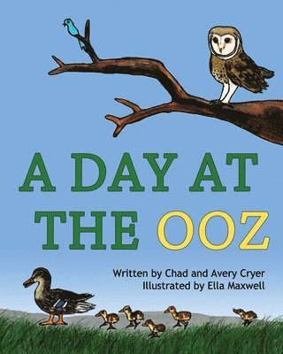 Avery Cryer - A Day at the OOZ, Häftad