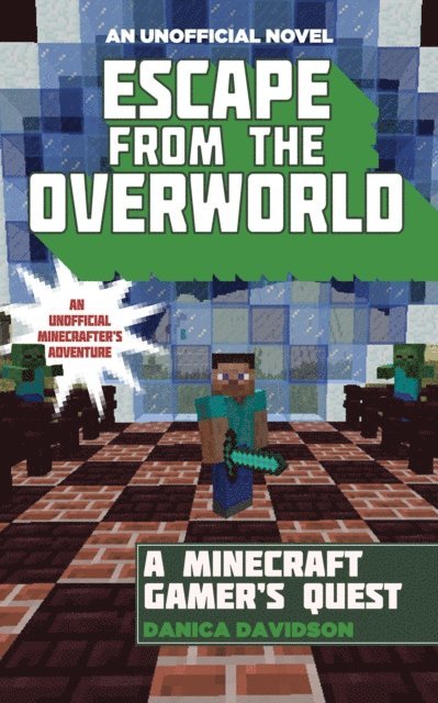 Danica Davidson - Escape from the Overworld, E-bok