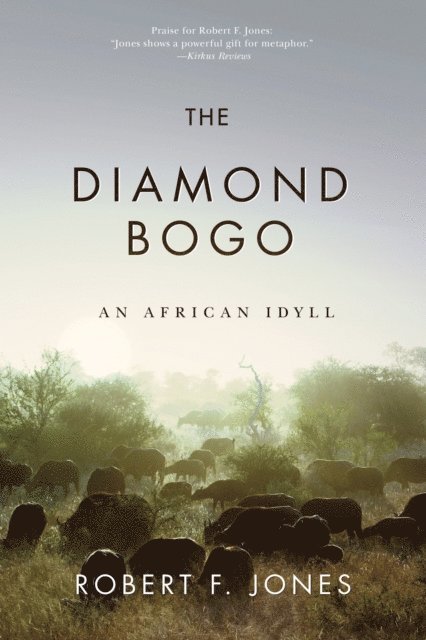 Robert F. Jones - Diamond Bogo, E-bok. Tillgänglighet: Lägg i varukorg